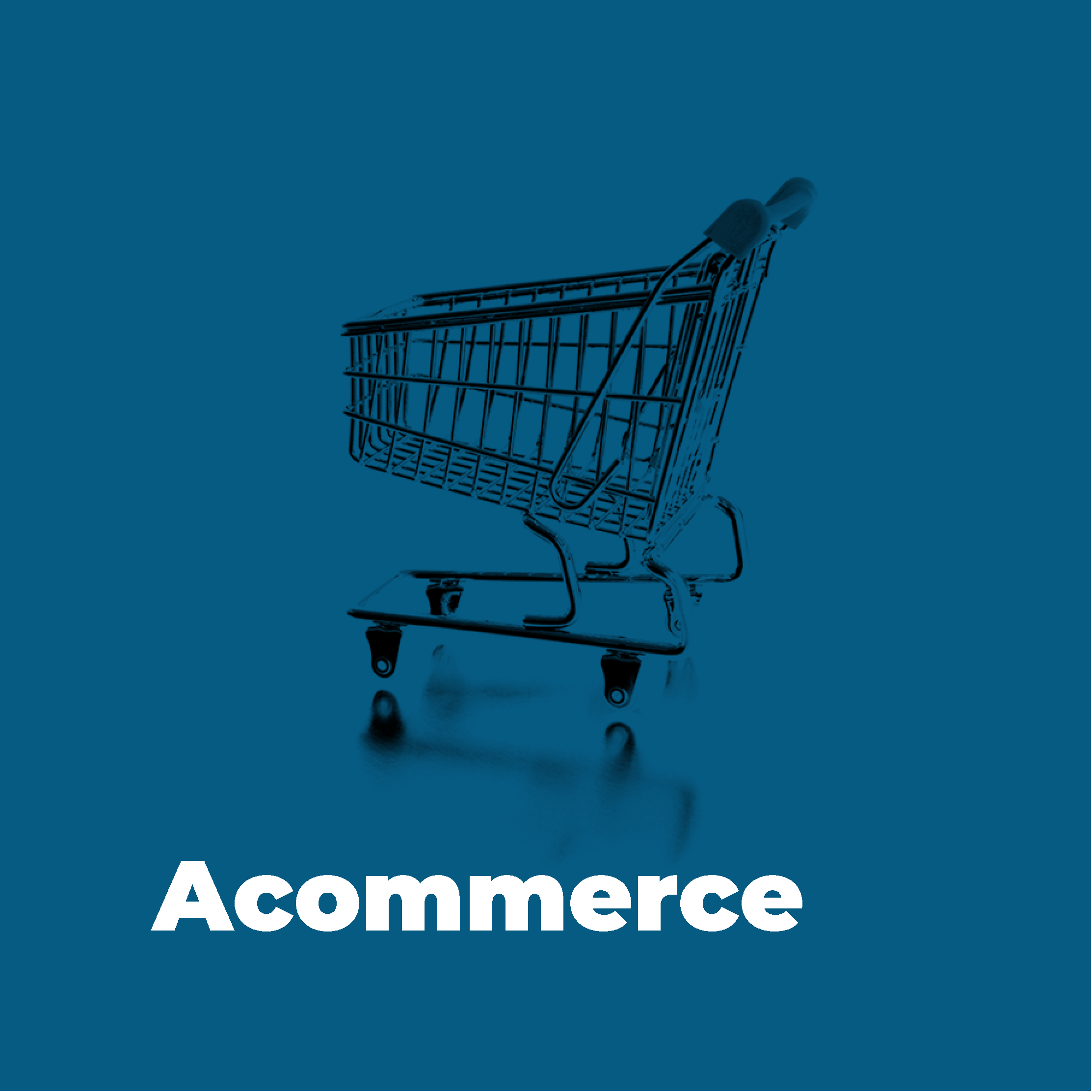 glosario acommerce ecommerce