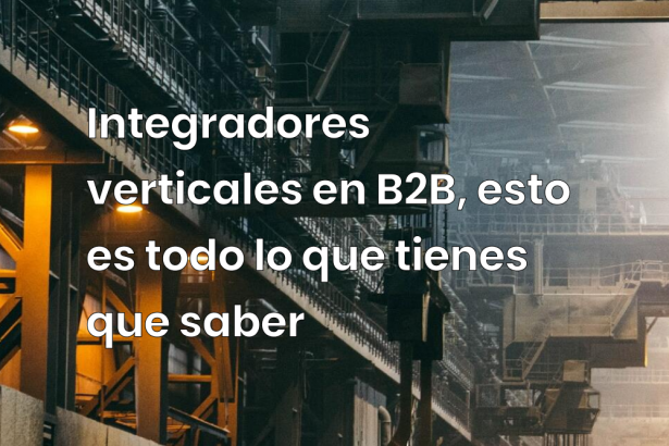 Integradores verticales en B2B, esto es todo lo que tienes que saber