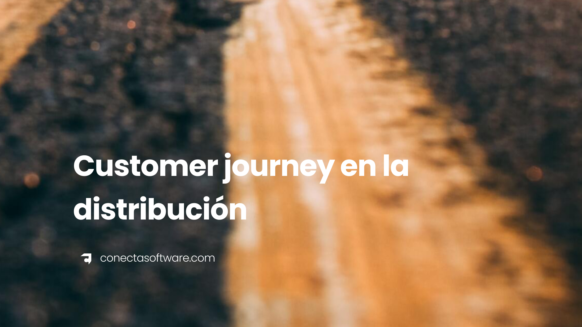 Customer Journey distribucion