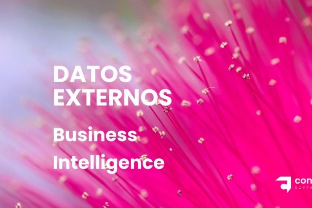 datos externos business intelligence