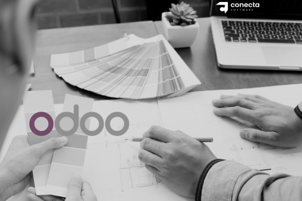 Alternativas a Odoo: soluciones de gestión para empresas competitivas