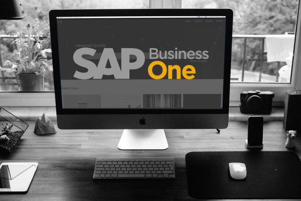 SAP Business One, una introducción a los módulos principales