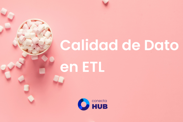 calidad de dato en etl