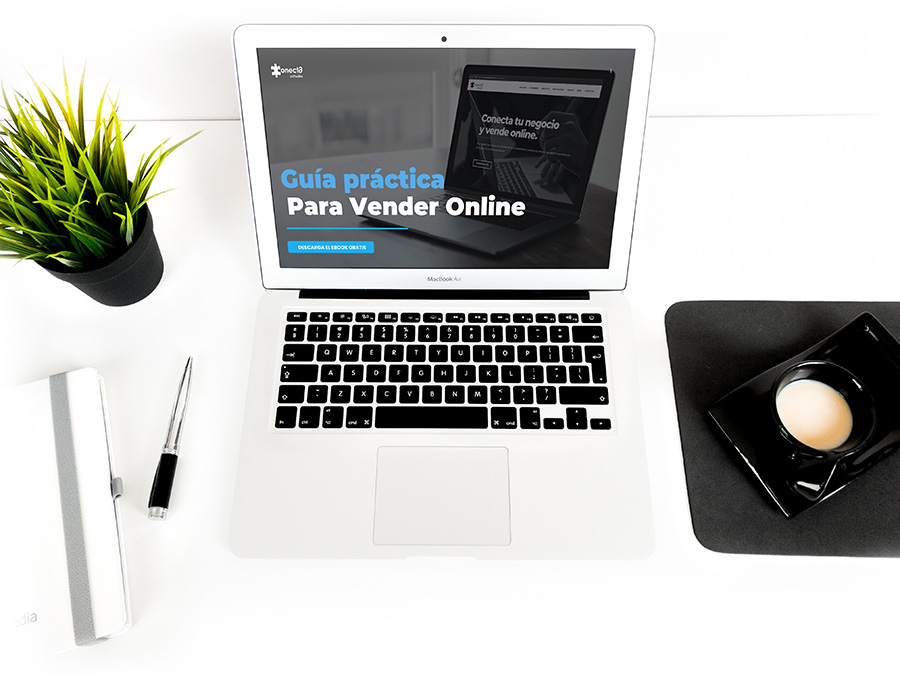 vender online - guia practica