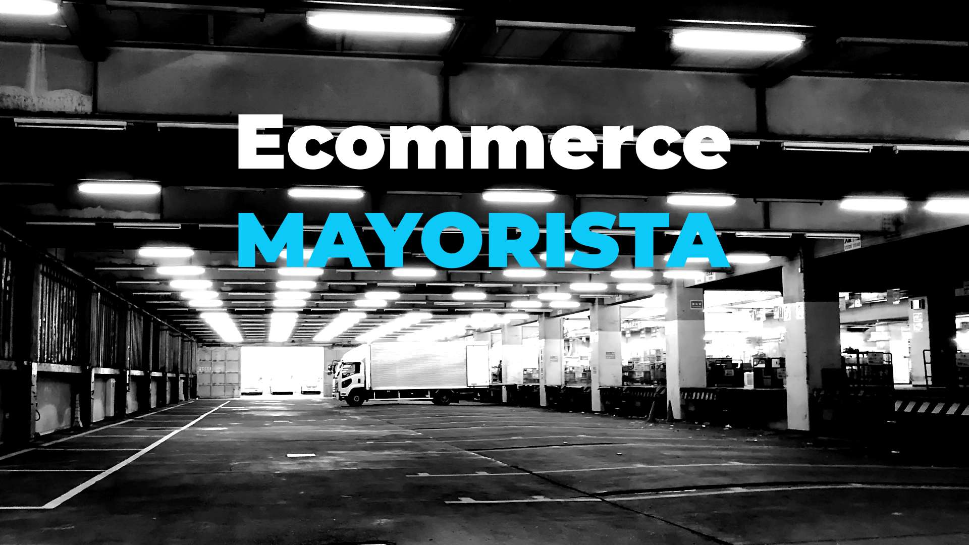 ecommerce mayorista distribucion