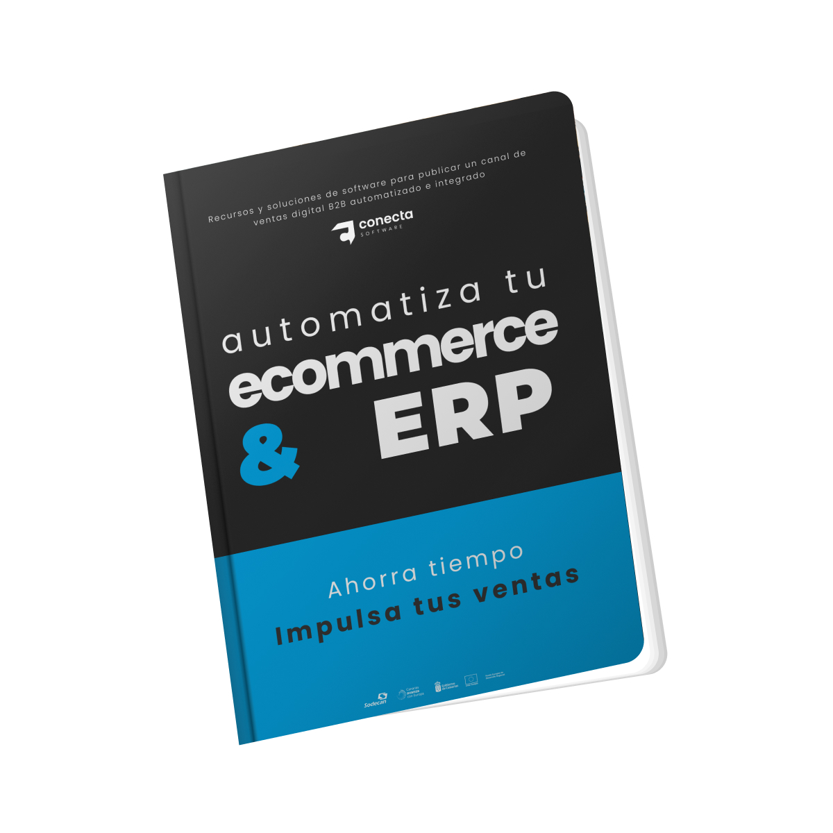 automatiza tu ecommerce ebook
