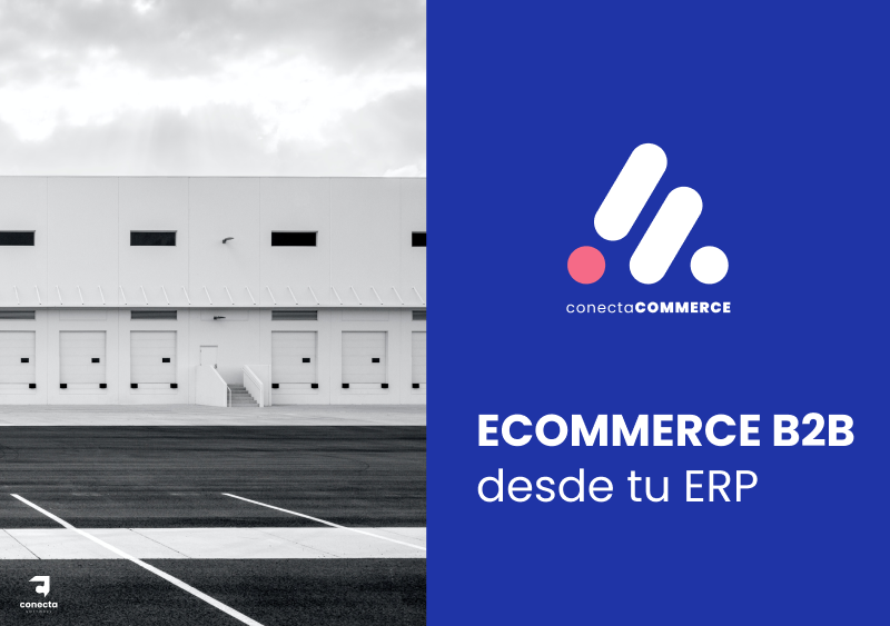 ebook Ecommerce b2b